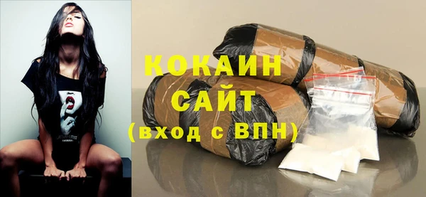 дживик Белокуриха