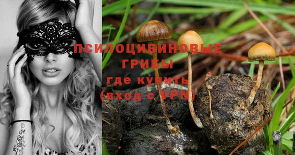 индика Покров