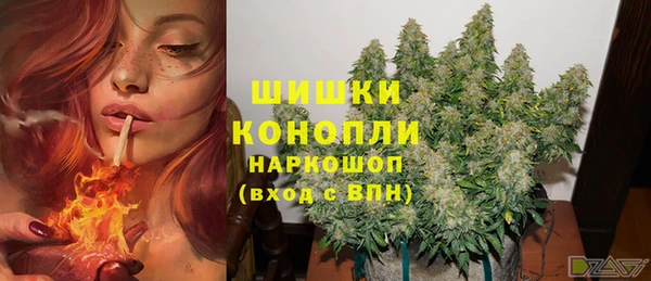 дживик Белокуриха