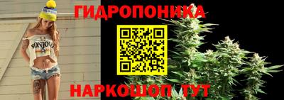 a pvp Заволжье
