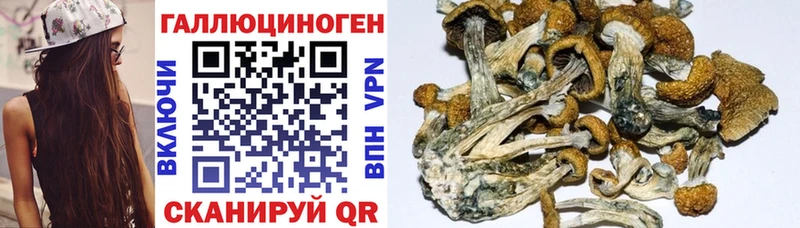 Галлюциногенные грибы GOLDEN TEACHER МЕГА зеркало сайты даркнета Telegram Сегежа