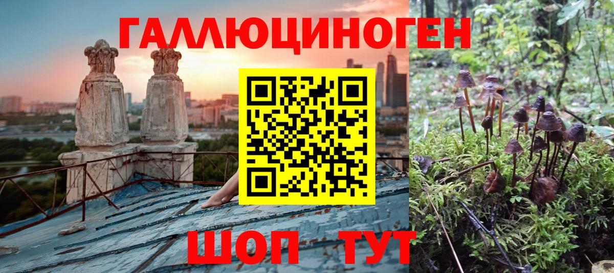 Псилоцибиновые грибы MAGIC MUSHROOMS Сегежа