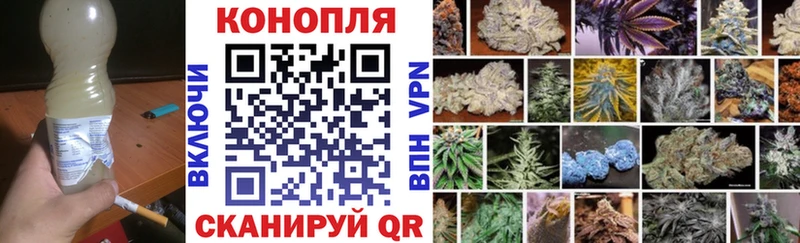 Бошки марихуана THC 21%  Сегежа 